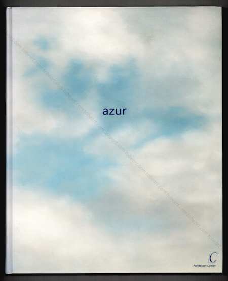 Azur. Jouy-en-Josas, Fondation Cartier, 1993.