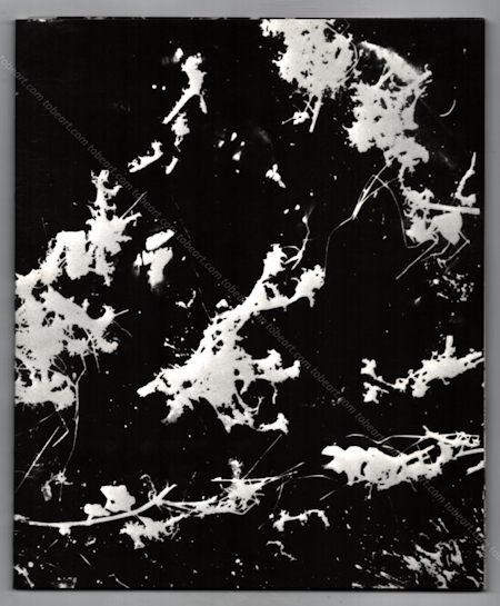 Jean MESSAGIER - Les dévelofixers. Paris, Musée d'Art Moderne, 2010.